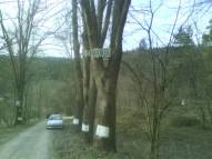 Únor